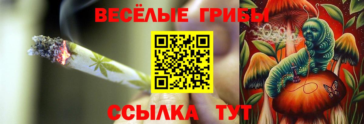 Кохма  Галлюциногенные грибы ЛСД  Вход с VPN  магазин    Галлюциногенные грибы GOLDEN TEACHER 
